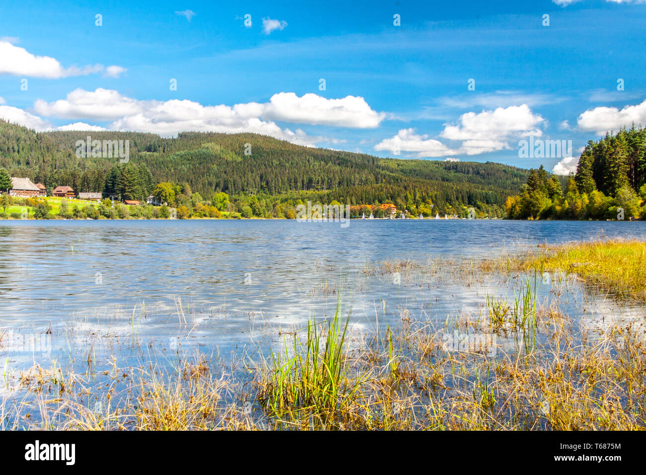 View of Lake Schluchsee in Southern Black Forest,Germany Stock Photo ...