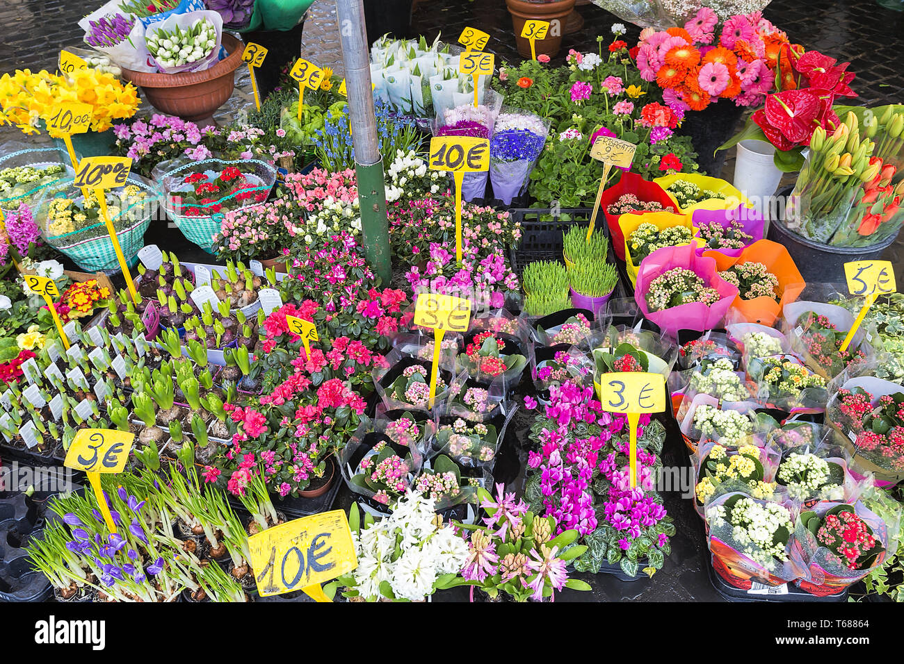 Colourful flowers in an german flower shop Stock Photo Alamy