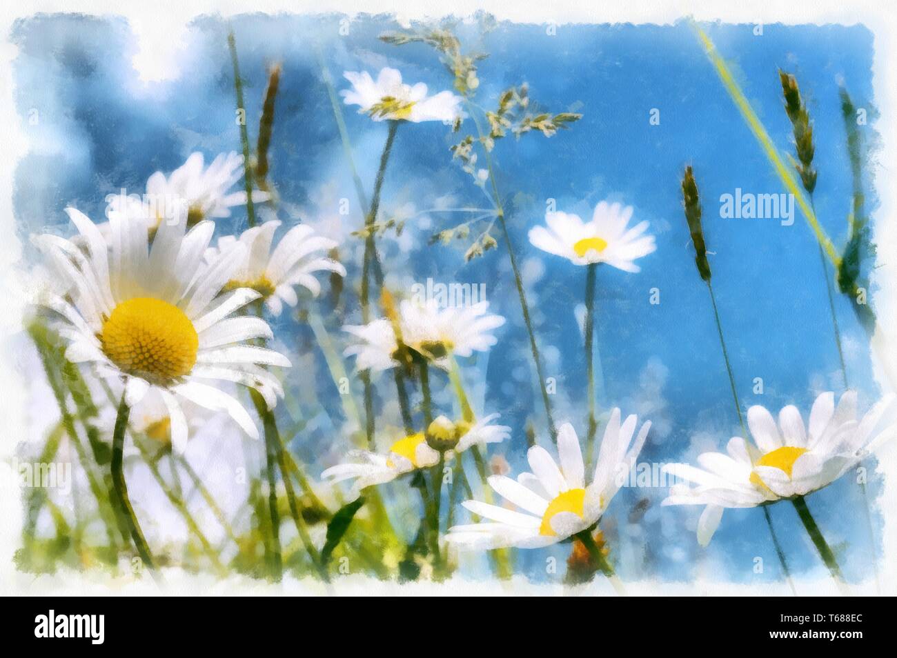 spring daisy flower field vintage Stock Photo