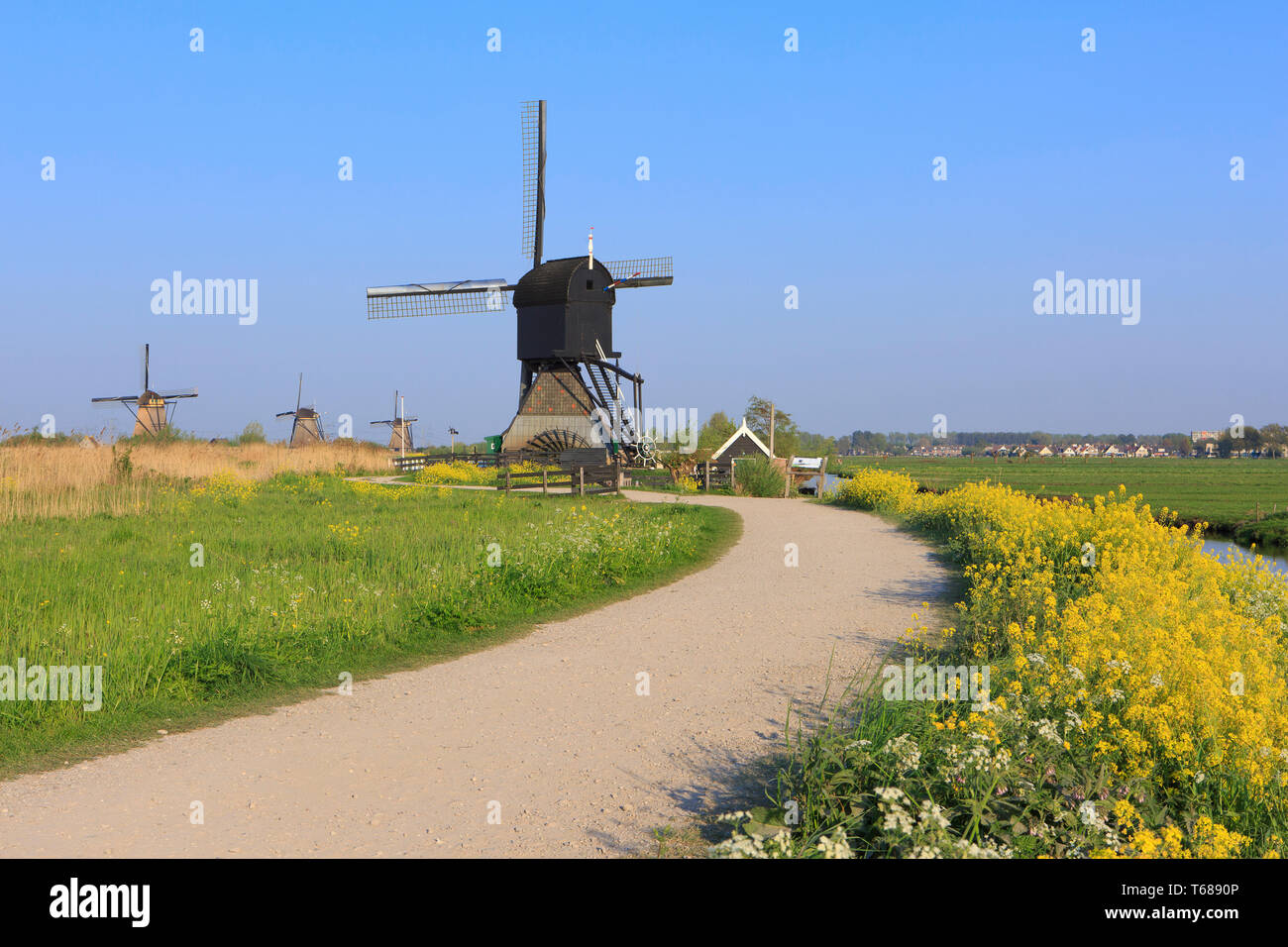 vier keer knuffel weefgetouw De Blokker Windmill High Resolution Stock Photography and Images - Alamy