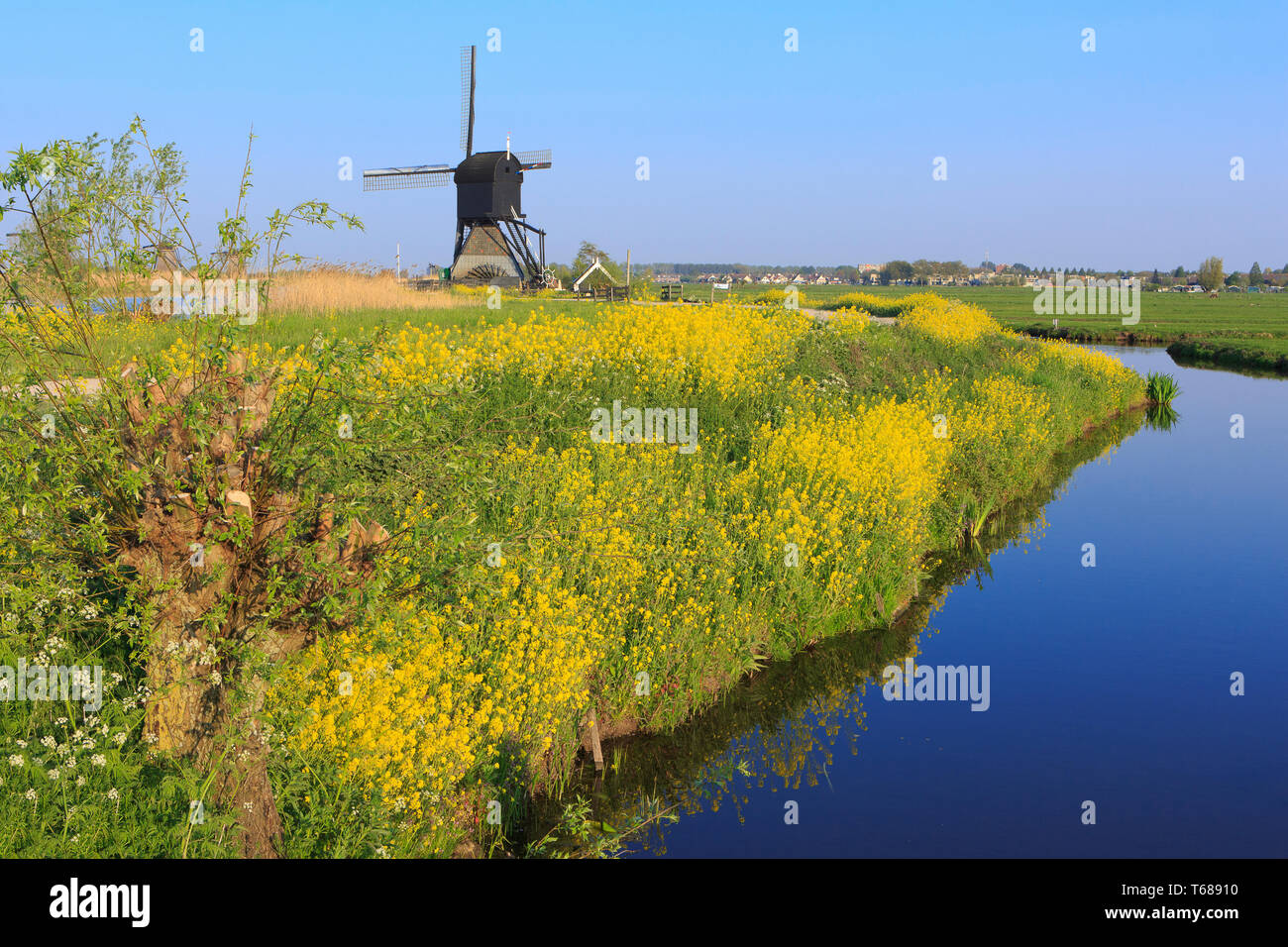Wip hi-res stock photography and images - Alamy