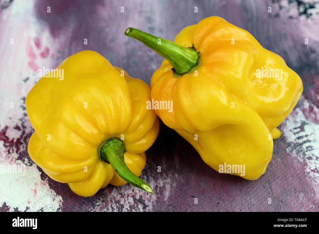 Hot pepper, (Capsicum chinense Stock Photo Alamy
