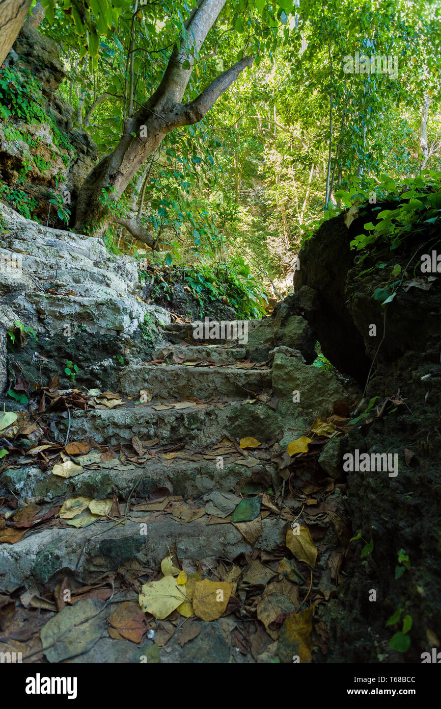 Stone staircase leading on Tembeling pool Stock Photo