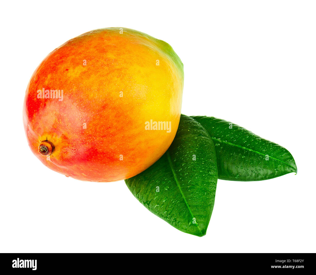 Fresh mango fruit with green leaves isolated on white background Stock ...