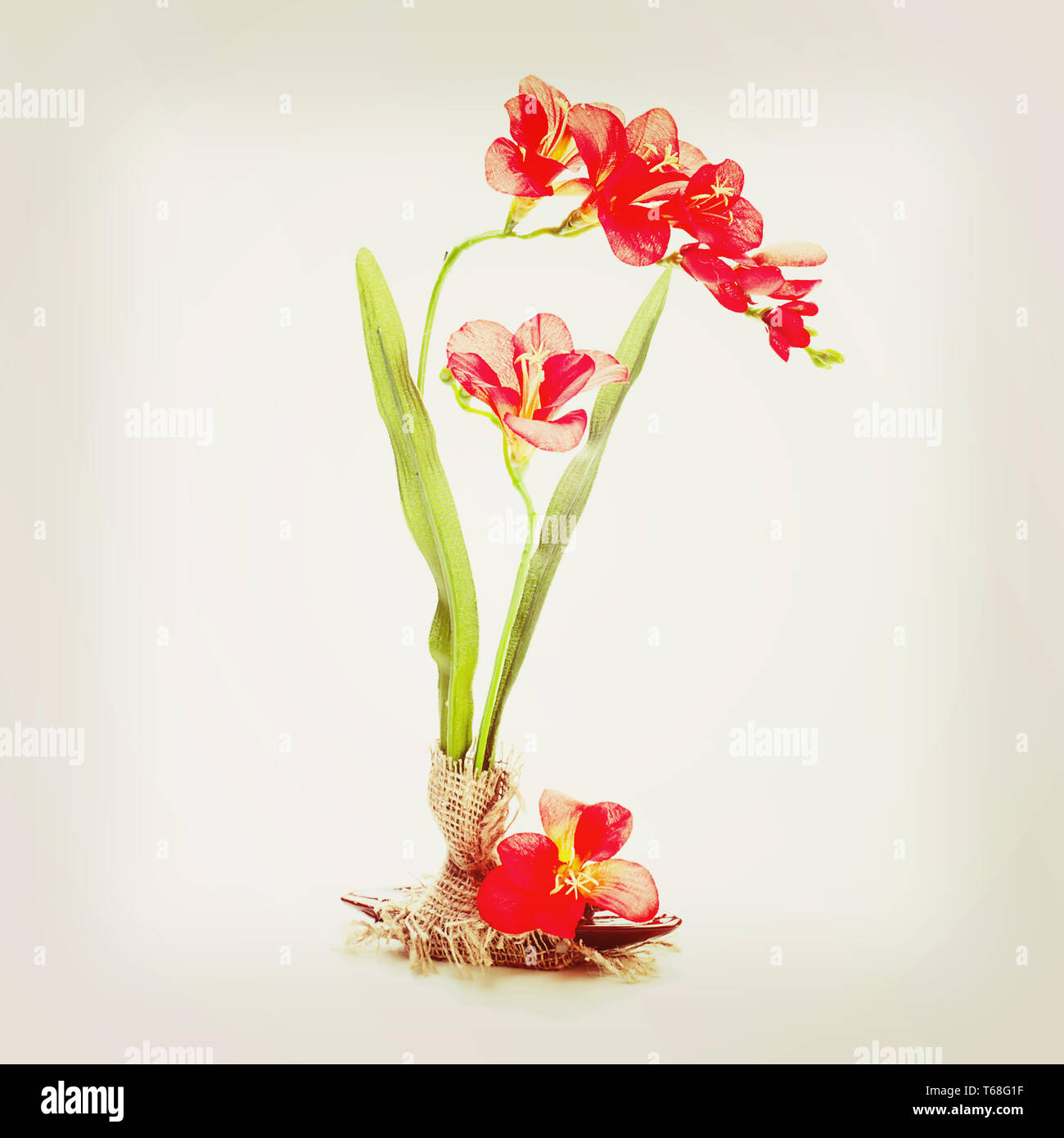 Artificial life hires stock photography and images Alamy