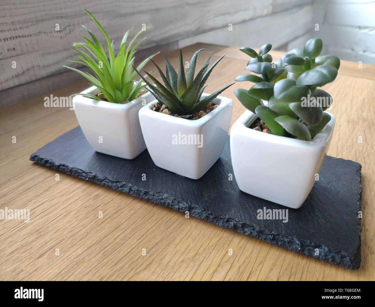 Pots with succulents on light wooden table against white brick wall ...