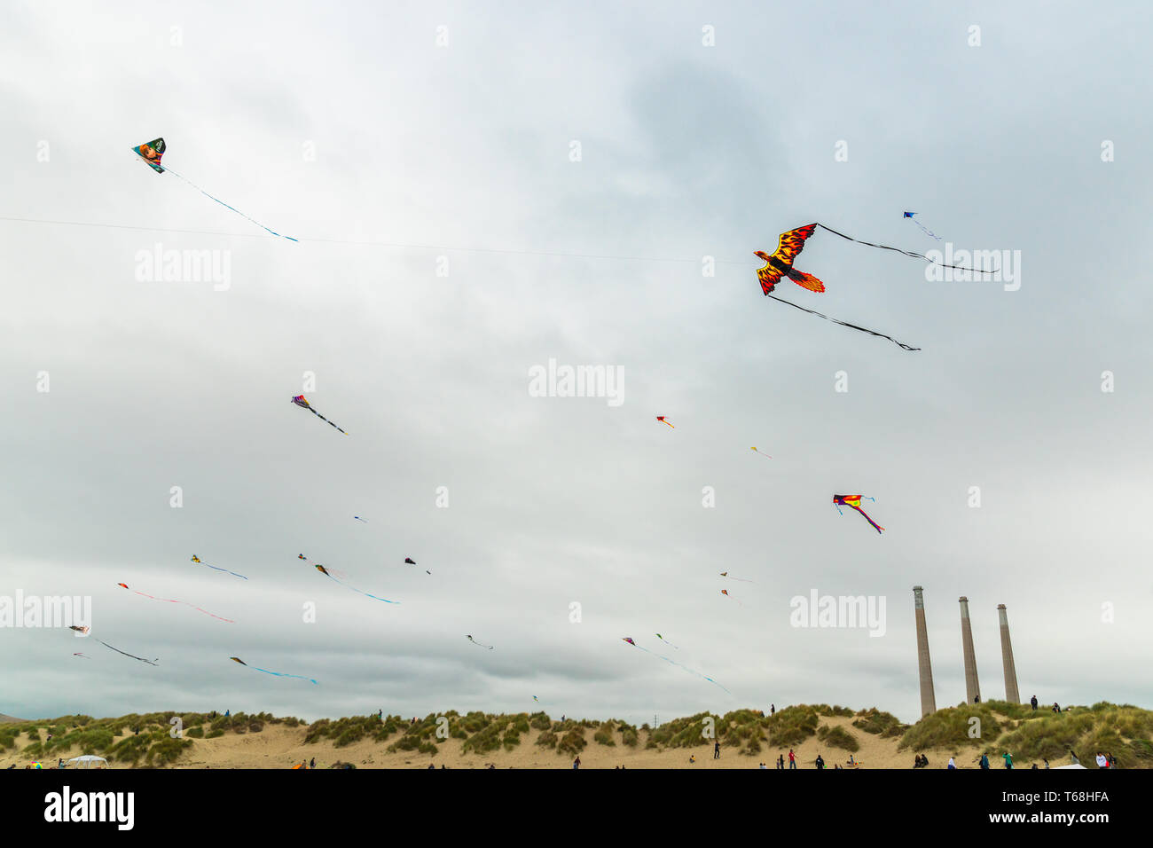 Flying Kites. Annual Morro Bay Kite Festival, California Stock Photo