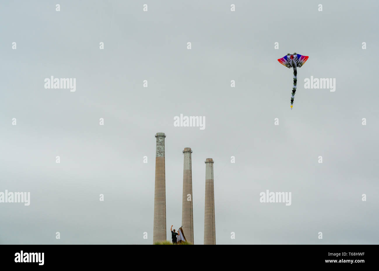 Flying Kites. Annual Morro Bay Kite Festival, California Stock Photo