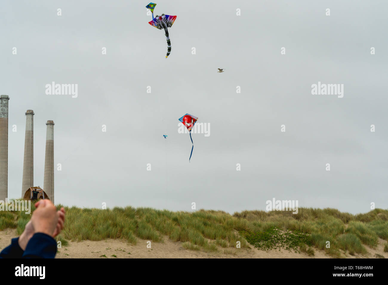 Kites international exhibition hires stock photography and images Alamy