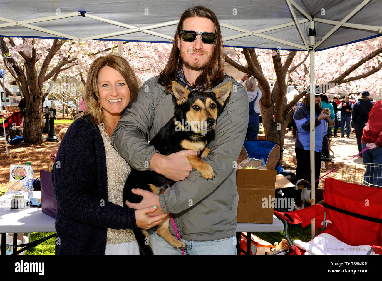 Mutts On Main street annual pet adoption event on the square of downtown Gainesville, Georgia, USA where this dog was adopted by one of this couple. Stock Photo