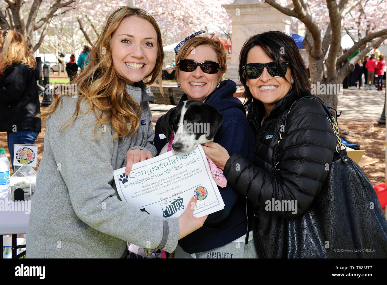 Mutts On Main street annual pet adoption event on the square of downtown Gainesville, Georgia, USA where this dog was adopted by one of these ladies. Stock Photo