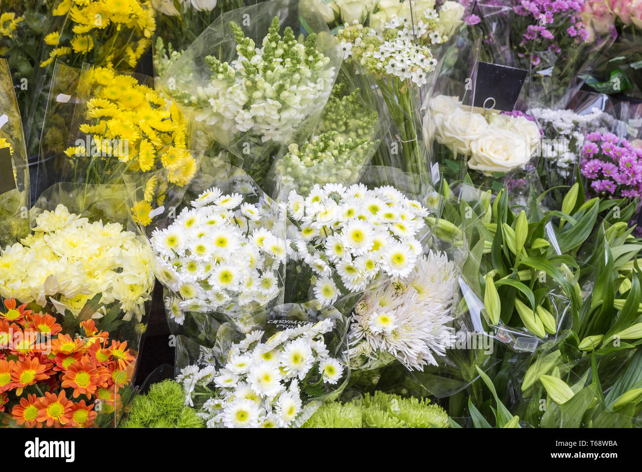 Florist Shop Sidewalk High Resolution Stock Photography and Images Alamy