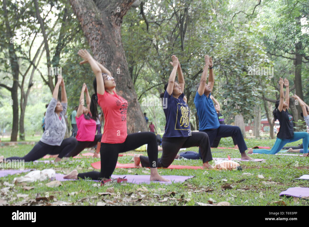 Young Indians doing yoga in Cubbon Park, Bangalore, India Stock Photo