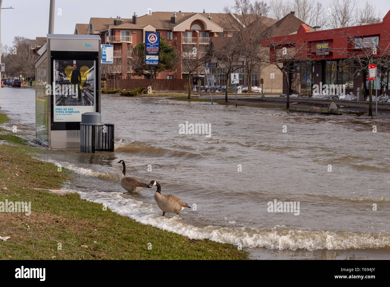 Pierrefonds-Roxboro, Quebec, Canada - 29 April 2019: Waves in a submerged street during spring floods, after a truck passed Stock Photo
