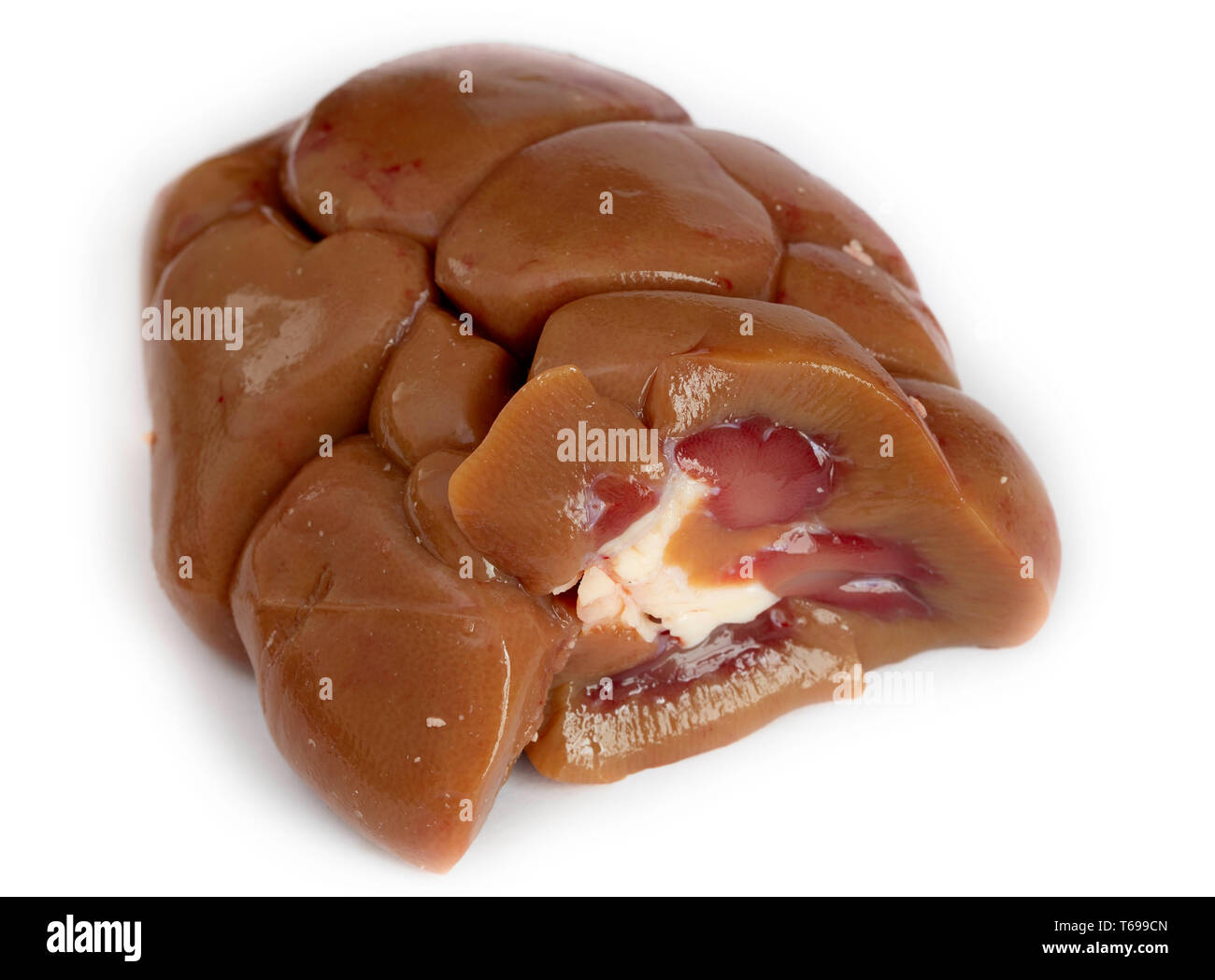 Raw beef kidney, also called ox kidney, over a white background. Stock Photo