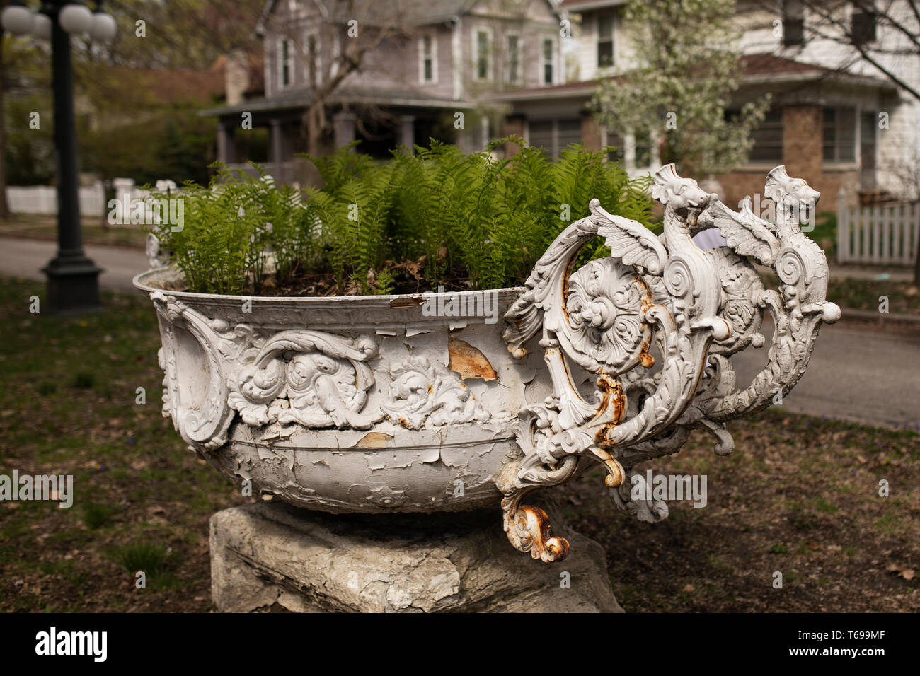 A large wrought iron Victorian planter, painted white and filled with ferns, in the historic Woodruff Place neighborhood in Indianapolis, Indiana, USA Stock Photo