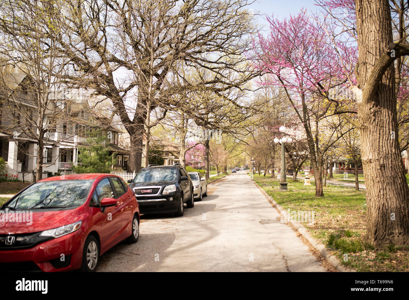 Spring trees blooming in the historic neighborhood of Woodruff Place in Indianapolis, Indiana, USA. Stock Photo