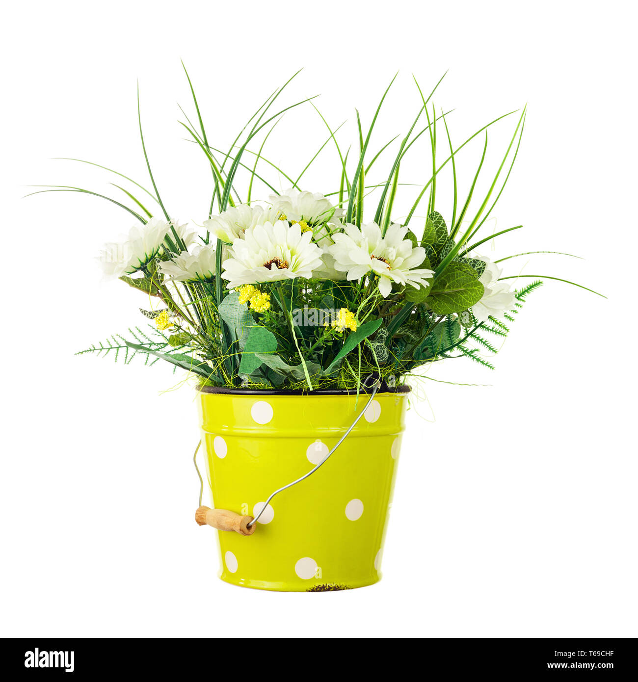 Bucket Orchids High Resolution Stock Photography and Images Alamy