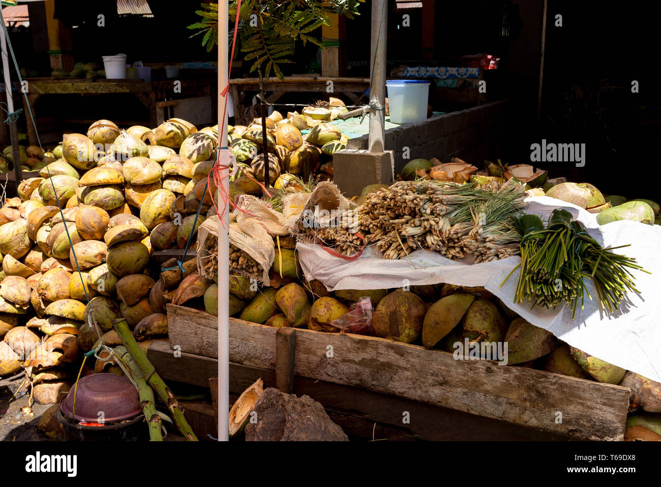 Shels High Resolution Stock Photography and Images - Alamy