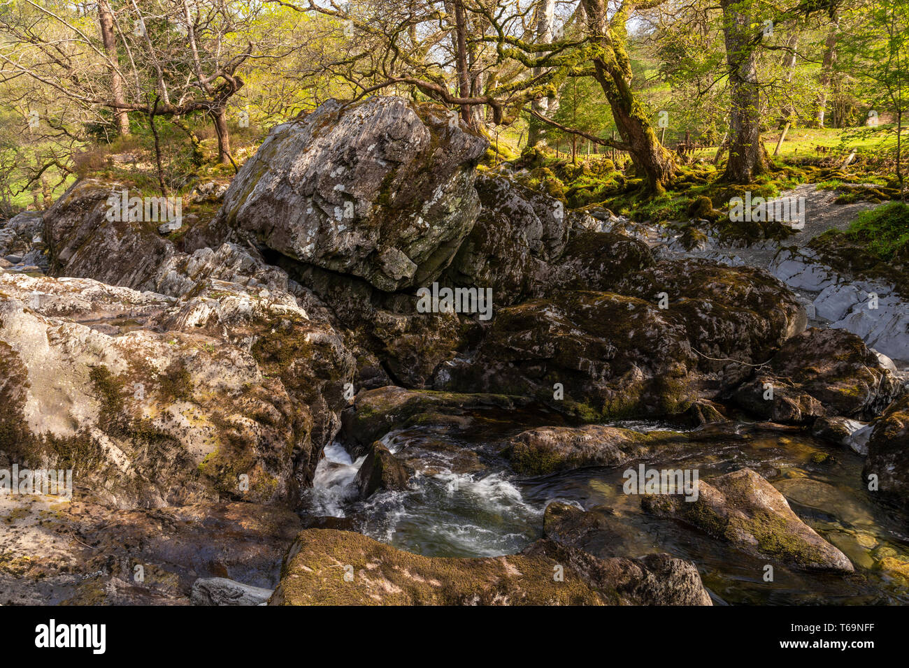 River Afon Lledr at Betws-y-Coed, Snowdonia, North Wales Stock Photo