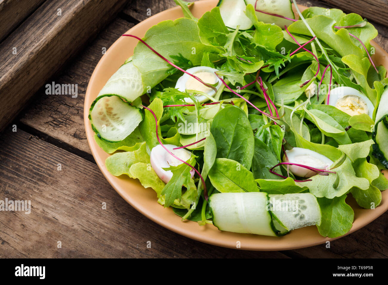 Spinach salad with fresh cucumbers,microgreen and quail eggs Stock Photo