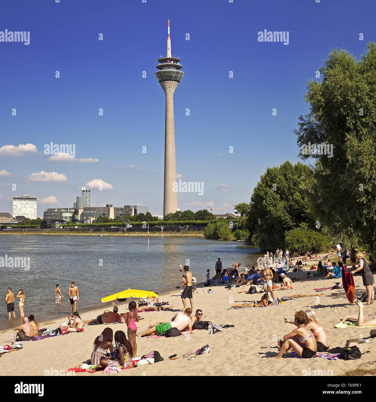 アート・デザイン・音楽 Rheinbrucken Rhine Bridges Reiman Bridge - Wikipedia