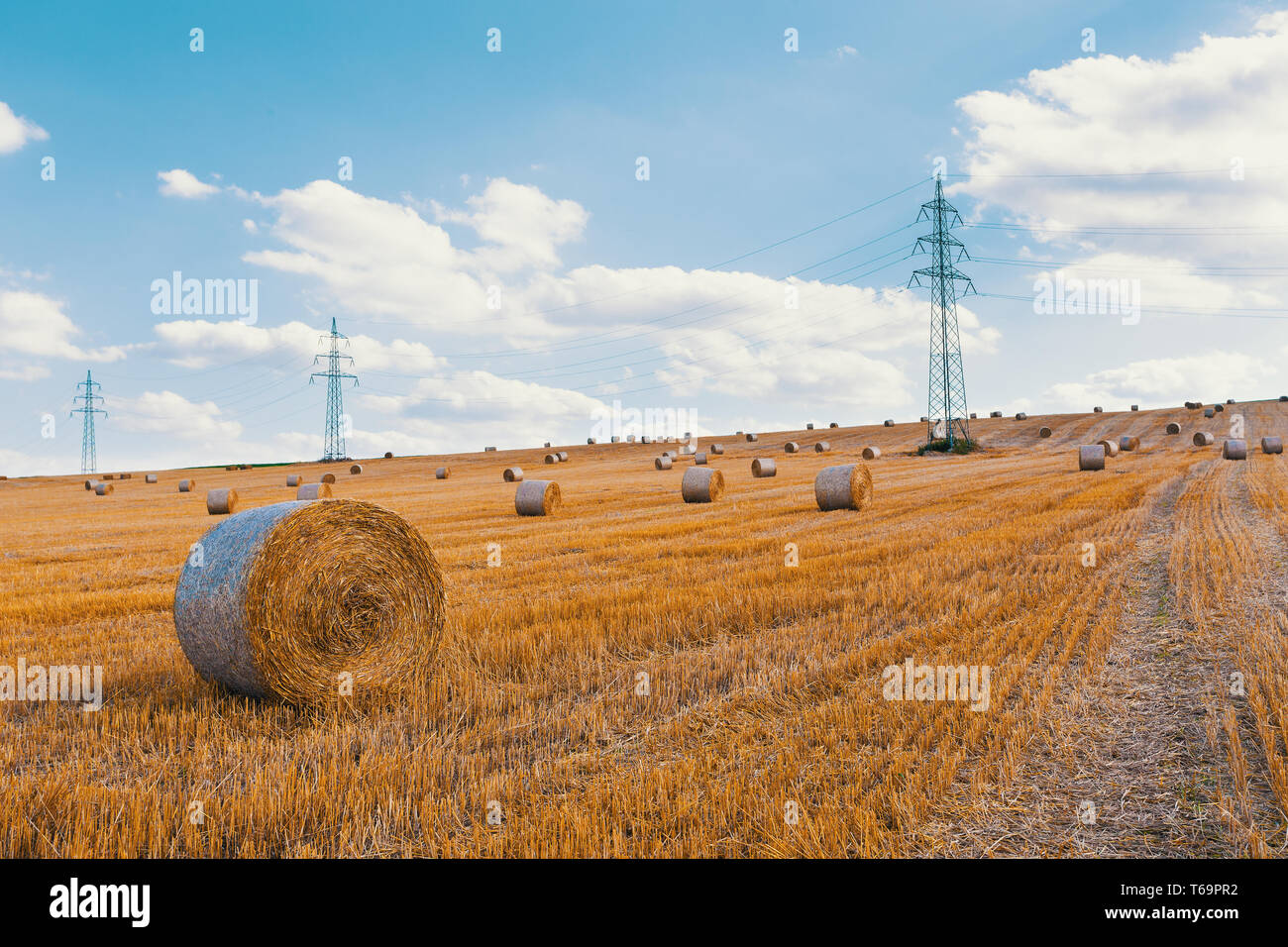 harvested field with straw bales in summer Stock Photo - Alamy