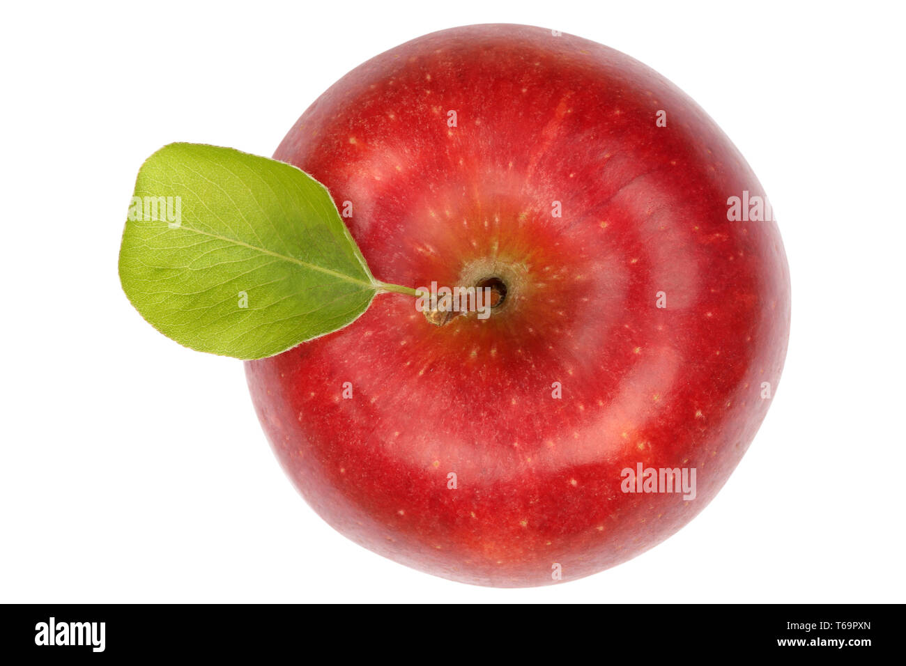 Beautiful Apple CutOut Stock Photo Alamy