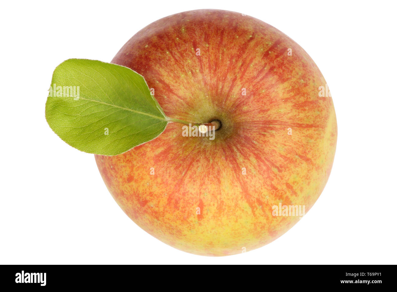 Beautiful Apple CutOut Stock Photo Alamy