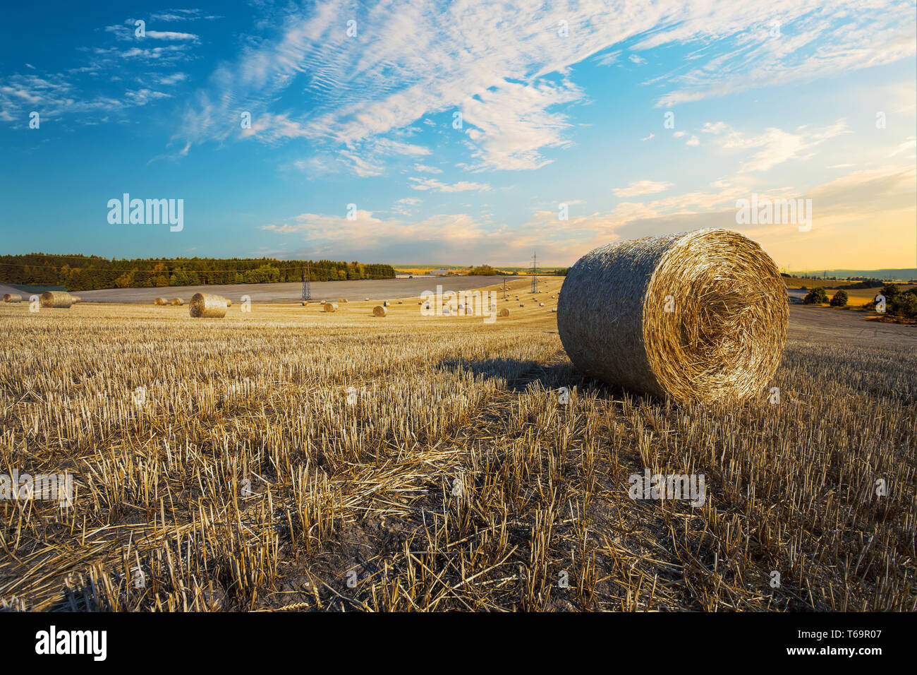 harvested field with straw bales in summer Stock Photo - Alamy