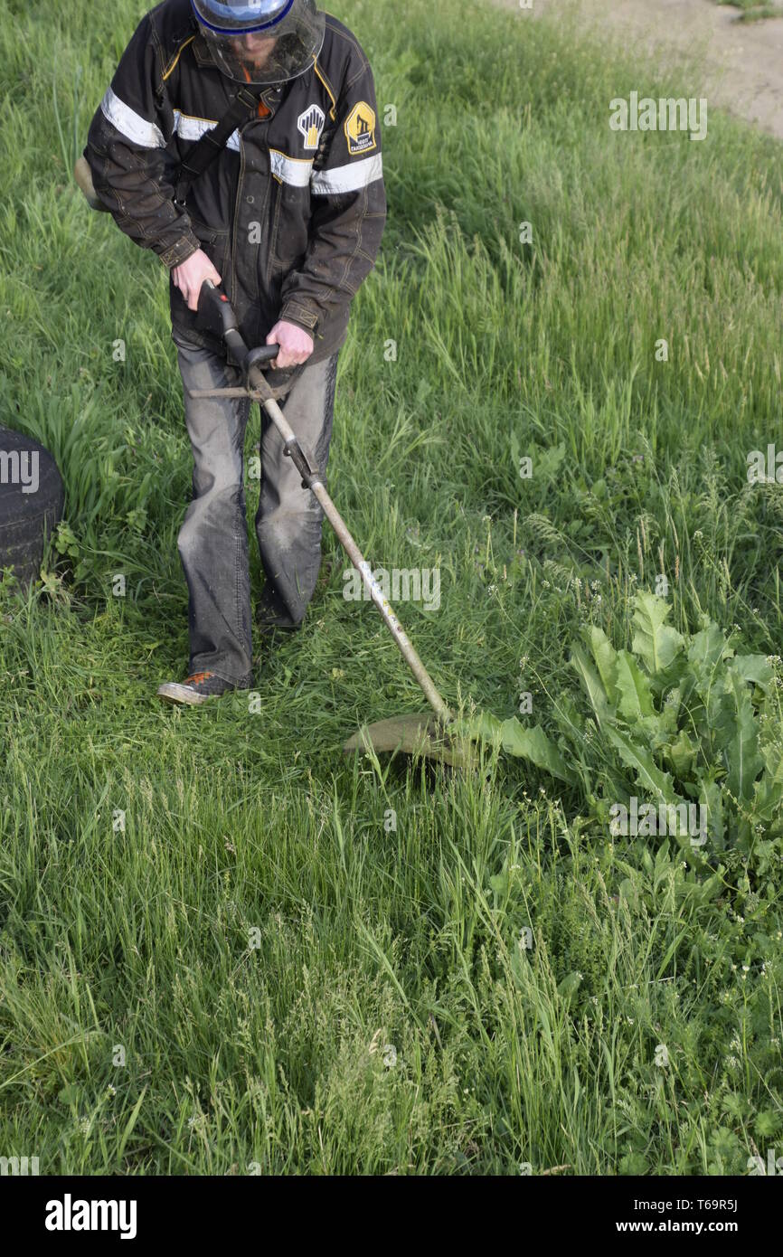 Mowing green grass using a fishing line trimmer Stock Photo Alamy