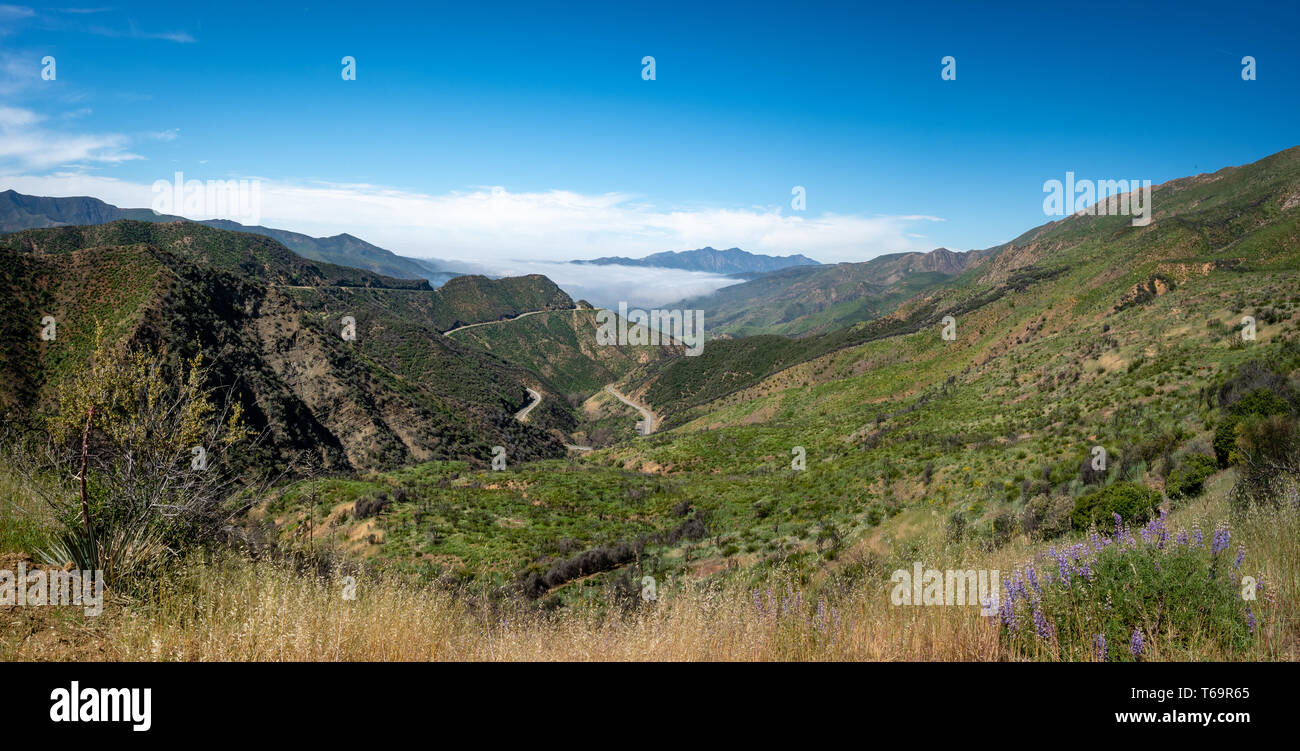 Los Padres National Forest, Highway 33, Ventura County, Ojai, California, USA Stock Photo Alamy