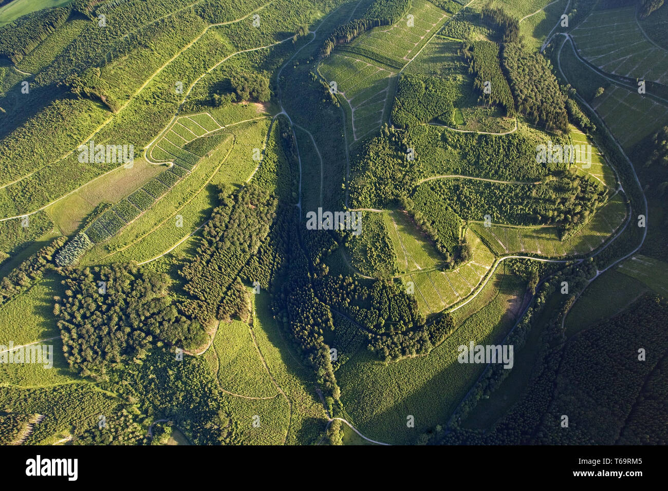 aerial view of a landscape in summer, Eslohe, Sauerland, North Rhine-Westphalia, Germany, Europe Stock Photo