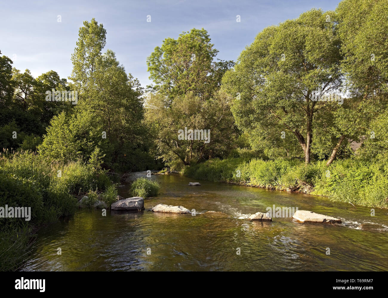 river Wenne in summer, Wenholthausen, Eslohe, Sauerland, North Rhine-Westphalia, Germany, Europe Stock Photo