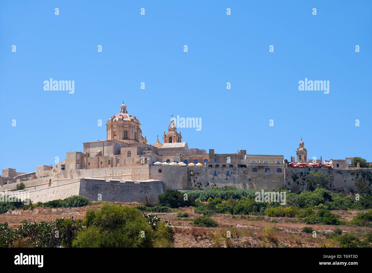 View of Mdina's St. Paul's Cathedral from the countryside below, Malta Stock Photo