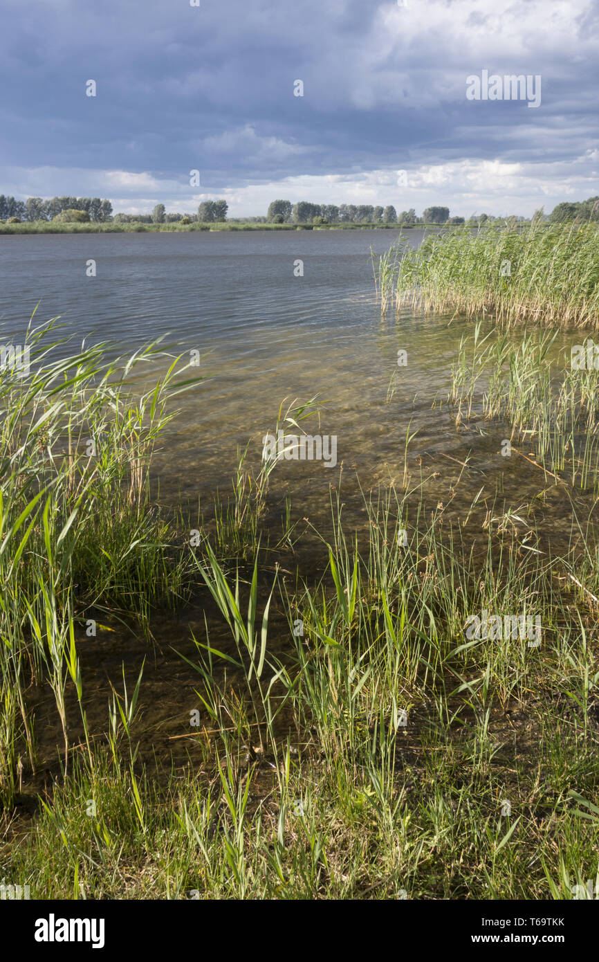 Pond in Brandenburg, Linum Stock Photo