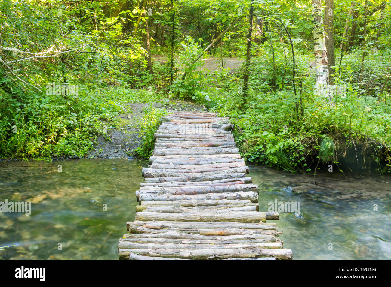 Homemade wooden bridge over a small river forest Stock Photo