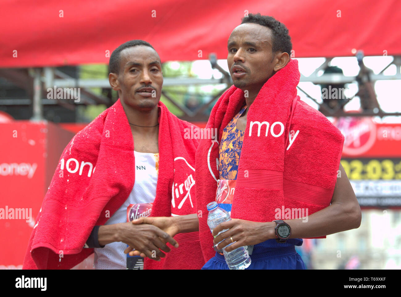 Mule miles hires stock photography and images Alamy