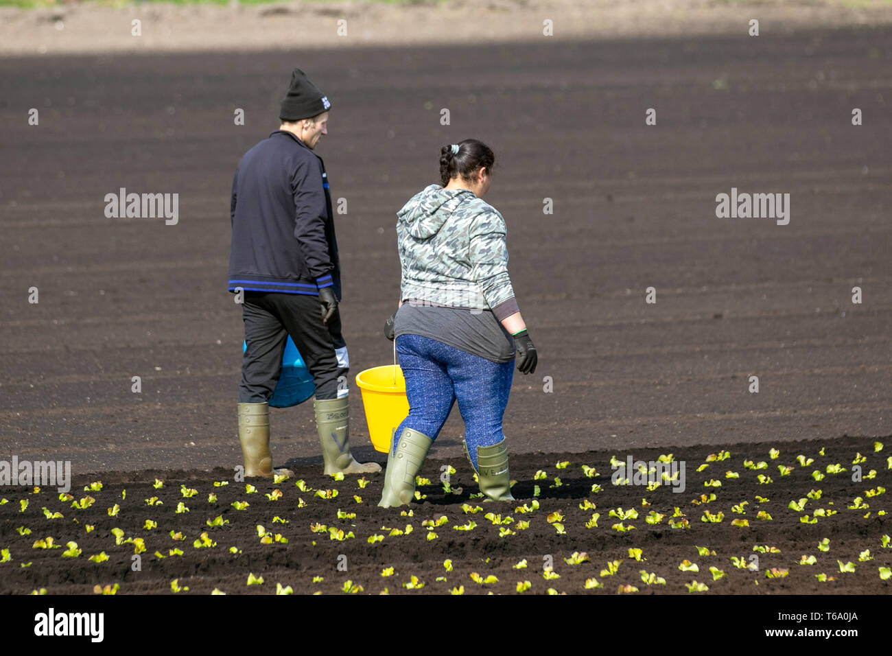 Satellite guided tractor hires stock photography and images Alamy
