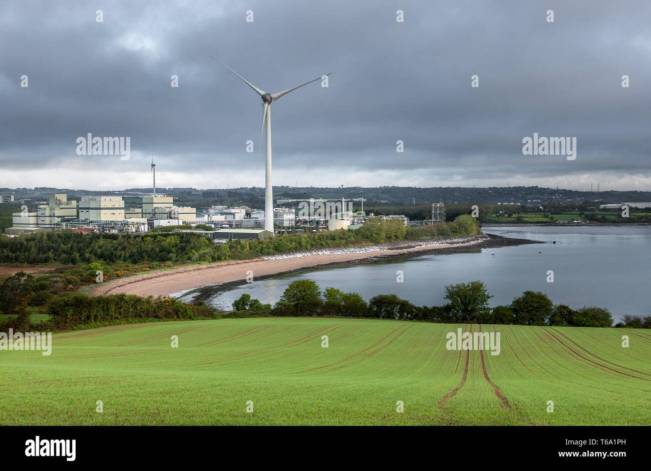 Currabinny, Co. Cork, Ireland. 30th April, 2019. A cloudy morning with a  view of the GlaxoSmithKline Pharmaceutical Plant and the surrounding farmland in Currabinny Co. Cork, Ireland. Credit: David Creedon/Alamy Live News Stock Photo