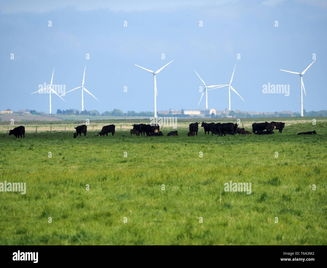 Elmley, Kent, UK. 30th Apr, 2019. UK Weather: a sunny and warm afternoon in Elmley, Kent. Credit: James Bell/Alamy Live News Stock Photo