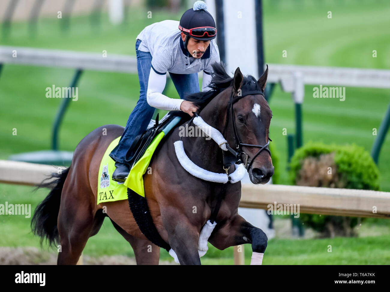 Louisville, Kentucky, USA. 30th Apr, 2019. LOUISVILLE, KENTUCKY - APRIL 30: Tax, trained by Danny Gargan, exercises in preparation for the Kentucky Derby at Churchill Downs in Louisville, Kentucky on April 30, 2019. John Voorhees/Eclipse Sportswire/CSM/Alamy Live News Stock Photo
