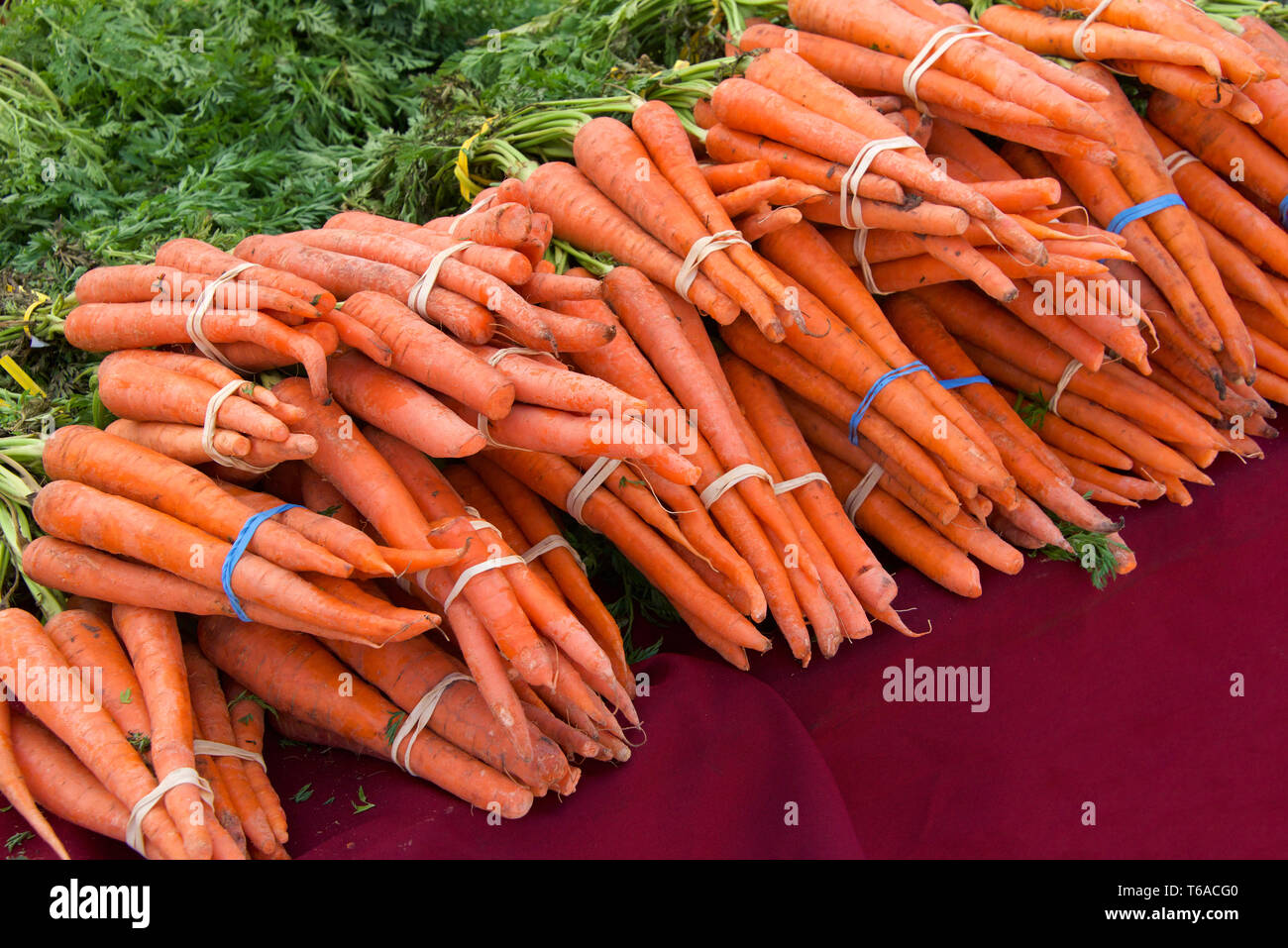 rubber bands for vegetables