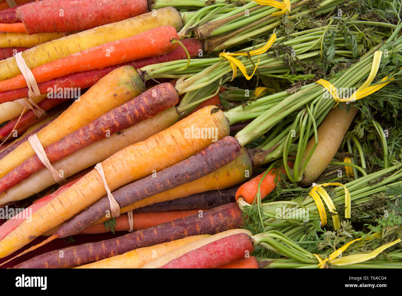 rubber bands for vegetables