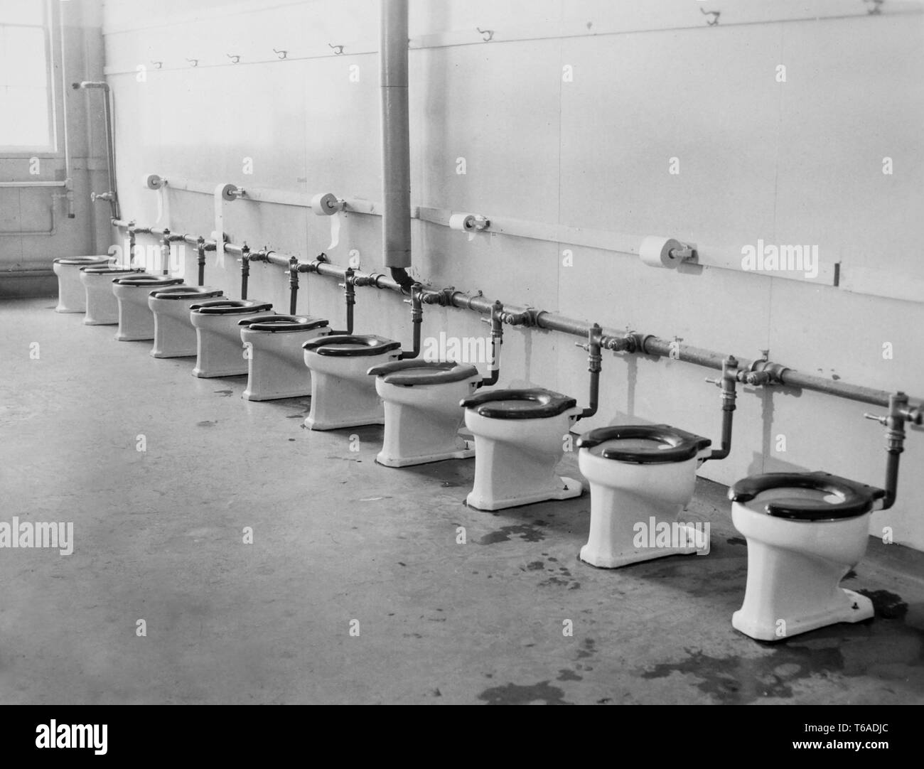 a-row-of-toilets-in-an-army-base-in-the-south-pacific-during-world-war-ii-ca-1943-T6ADJC.jpg