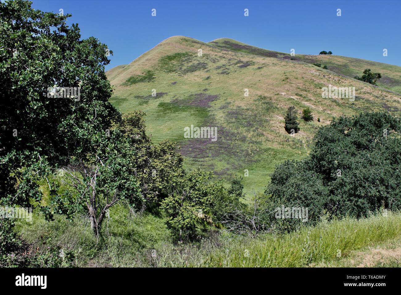 Black Diamond Mines Regional Preserve, Antioch, California Stock Photo