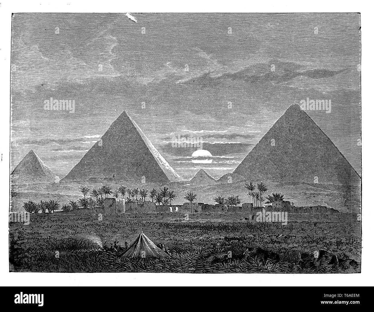 Pyramids of Giza,   1885 Stock Photo