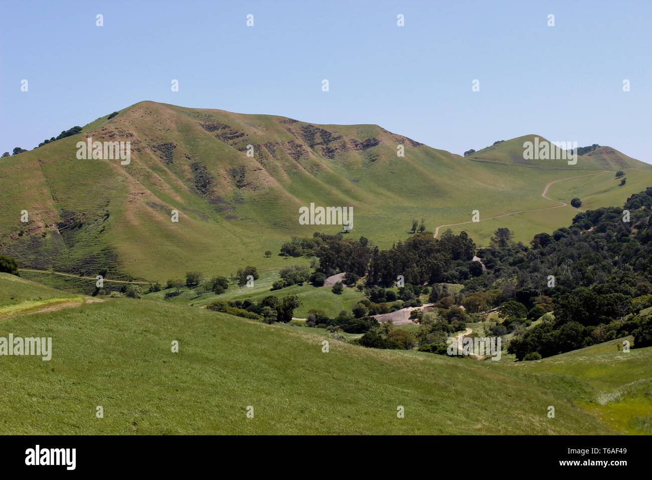 Black Diamond Mines Regional Preserve, Antioch, California Stock Photo