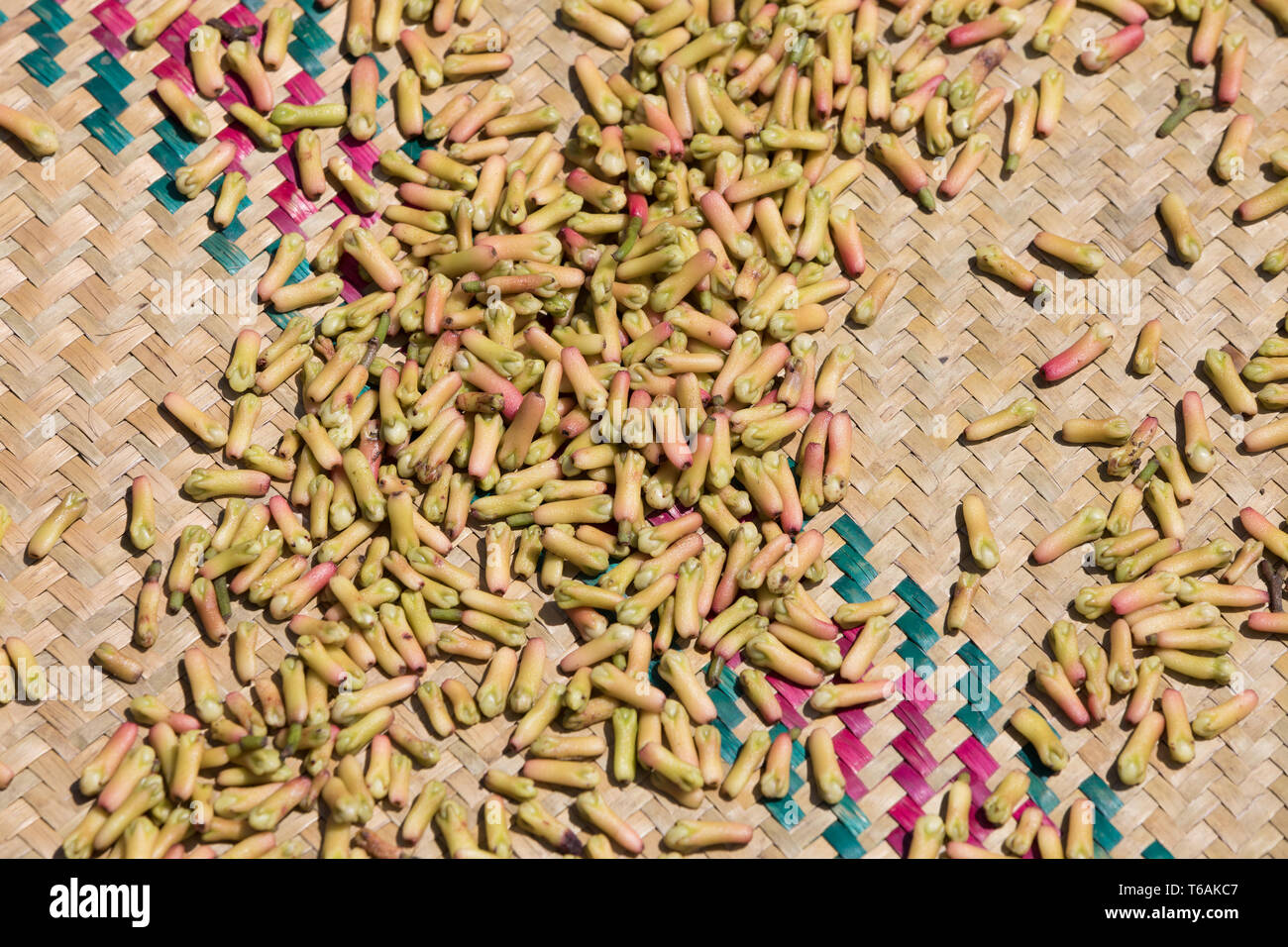 drying flower buds from clove spice Stock Photo Alamy