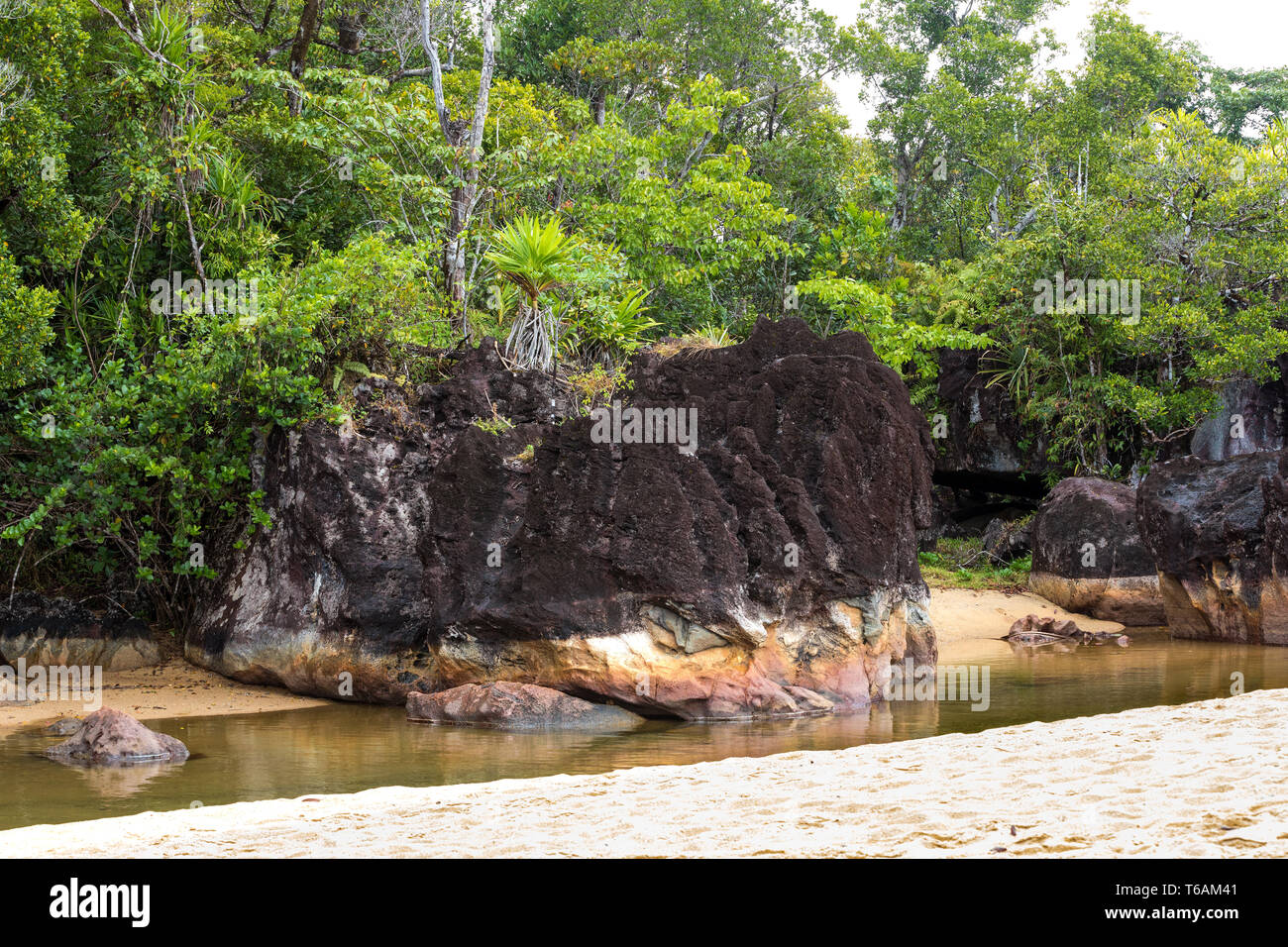 Landscape of Masoala National Park, Madagascar Stock Photo - Alamy